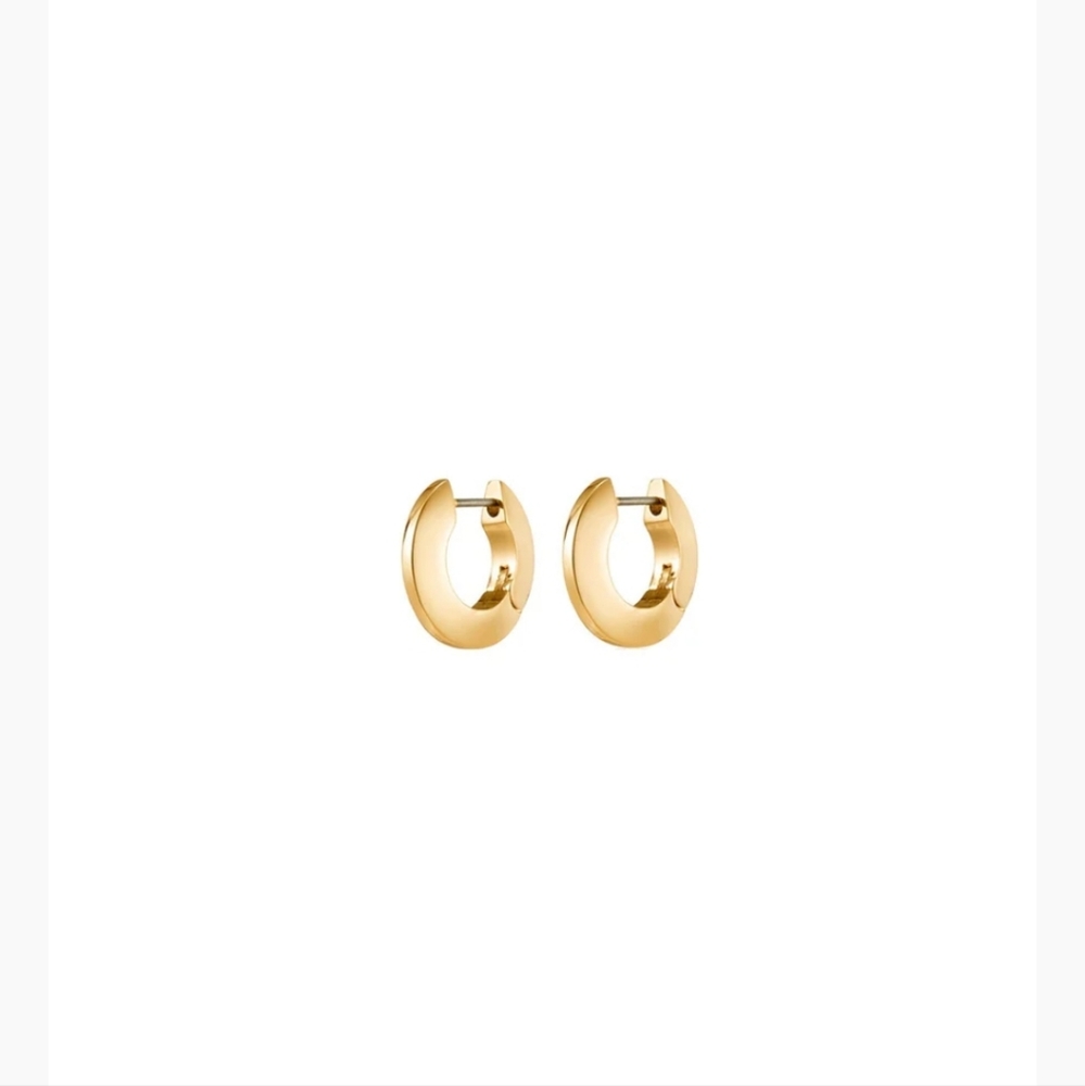 Jenny Bird Gold Toni Hoops